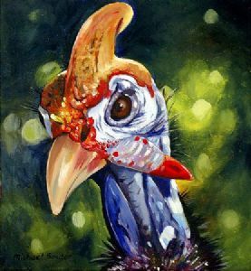 "Helmeted Guineafowl 2"
