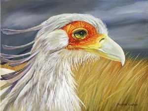 "Secretary Bird"