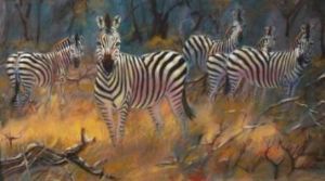 "Zebras in the sun"