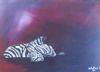 "Bathing Zebra"