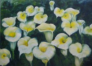 "Arums in Garden"