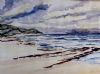 "Wild Coast Windstorm"