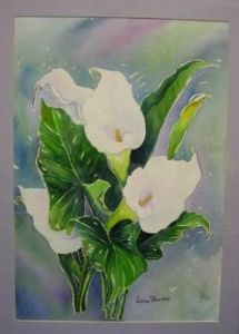 "Arum Lilies"