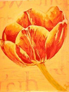 "Tulip"