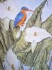 "Kingfisher"