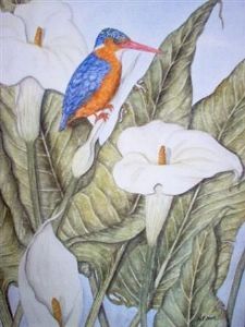 "Kingfisher"