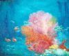 "Red Sea Fan"