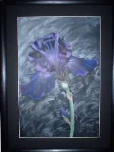 "Purple Iris"