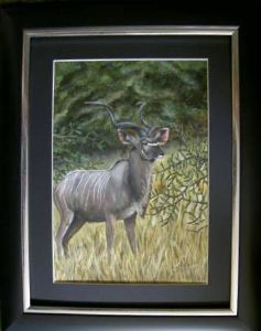 "Kudu in bush"