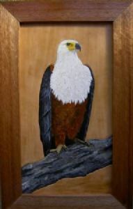 "African Fish eagle on leather"