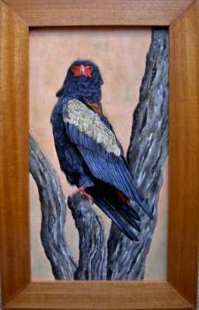 "Bateleur on leather"