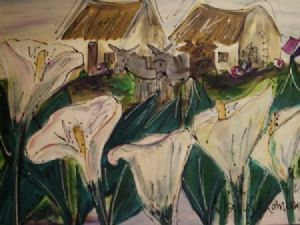"Varkieblomme Arum Lilies"