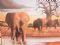 Elephants