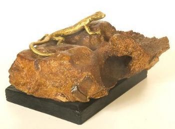 "Lizard Rock"