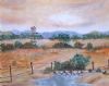 "Flower Landscape"