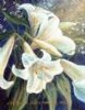 "St Josephs Lilies"