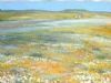 "Namaqualand, Platbergie"