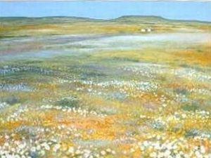 "Namaqualand, Platbergie"