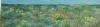 "Fynbos Field, Day"