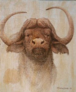 "Buffalo"