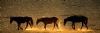 "Fire Horses"