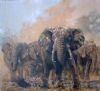 Elephants