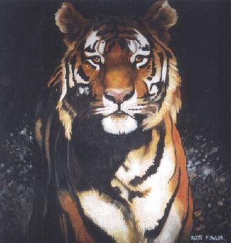 "tiger"