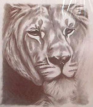 "Lion"