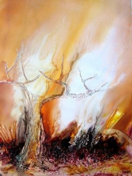 "The Burning Bush"