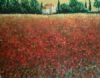 "Poppy Field"