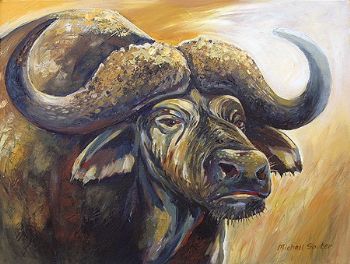 "Cape Buffalo"