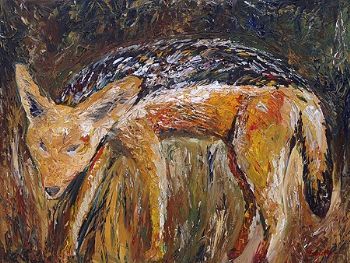 "Black-backed Jackal"