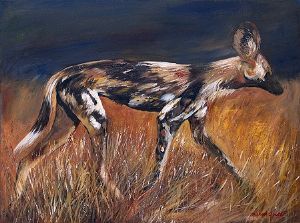 "Wild Dog"