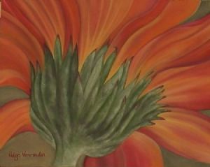 "Orange Daisy"