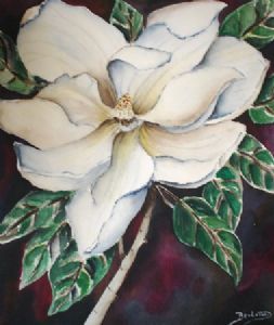 "Magnolia"