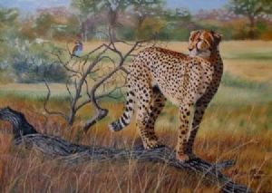 "On the Lookout"