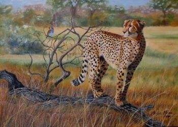 "On the Lookout"
