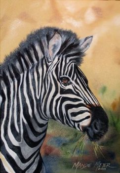 "Zebra Portrait 1"