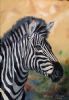 "Zebra Portrait 1"