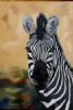"Zebra Portrait 2"