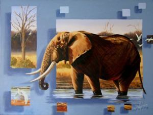 "Savuti Bull"