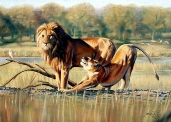 "The Lazy Lioness"