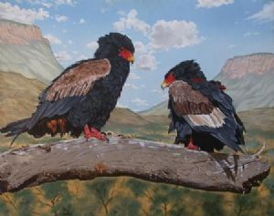 "African Bateleur Eagles"