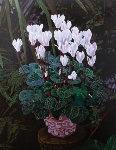 "Cyclamen Lilies"