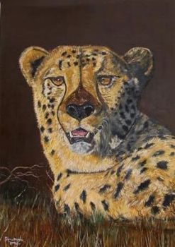 "Night Prowler"