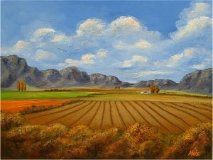 "MaisFranschoek"
