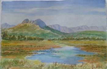 "Flooded vineyeards, Somerset West"