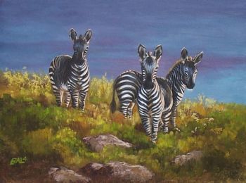 "Twillight Zebras"