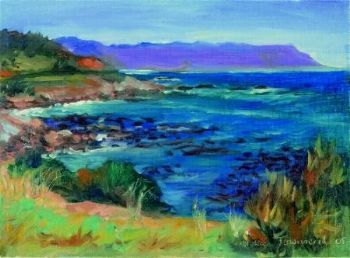 "False Bay from Miller's Point"