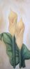 "Arum Lilies 1"